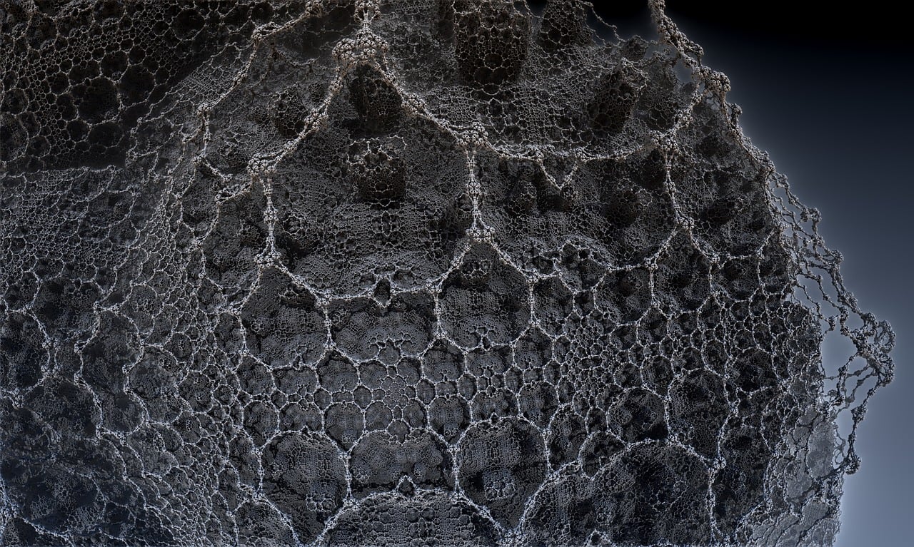 湛江李昌梧最新動(dòng)態(tài)，傳奇人物的嶄新篇章