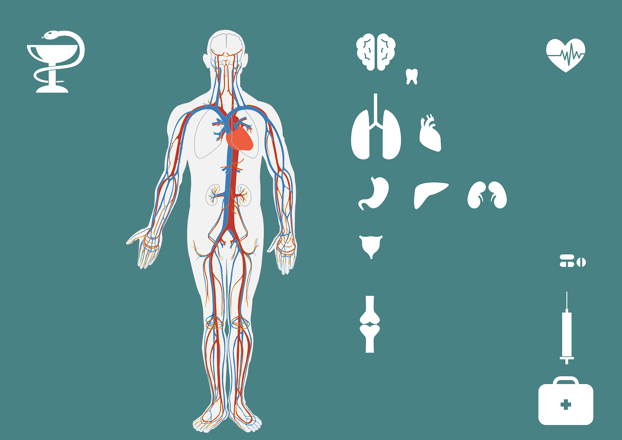 急診搶救流程圖優(yōu)化，提升搶救成功率與急救服務(wù)質(zhì)量