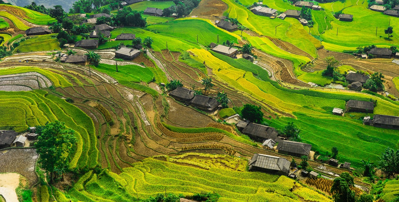 中緬合作新篇章，運(yùn)八飛機(jī)在緬甸的最新動(dòng)態(tài)與消息