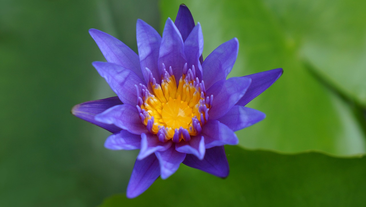 雙陽(yáng)區(qū)火車站邁向現(xiàn)代化，提升服務(wù)質(zhì)量，最新動(dòng)態(tài)報(bào)告