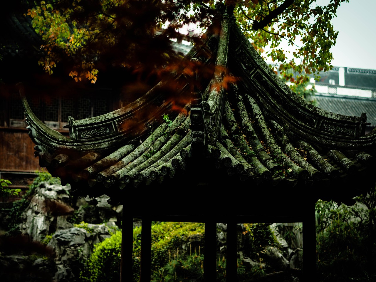 中國(guó)女排隊(duì)蓄勢(shì)待發(fā)，展現(xiàn)新篇章，最新消息與動(dòng)態(tài)速遞