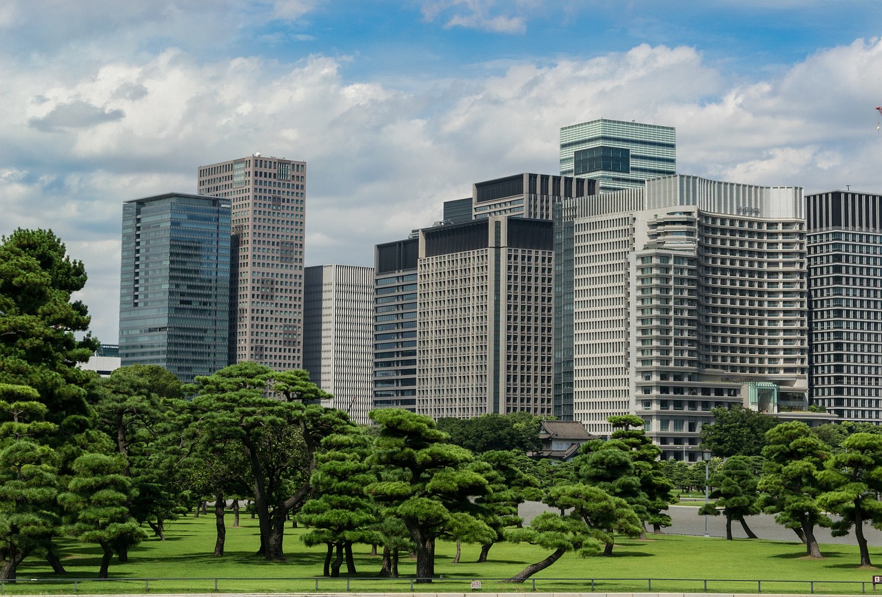 河南省輝縣市最新規(guī)劃，打造繁榮宜居新時代城市藍(lán)圖