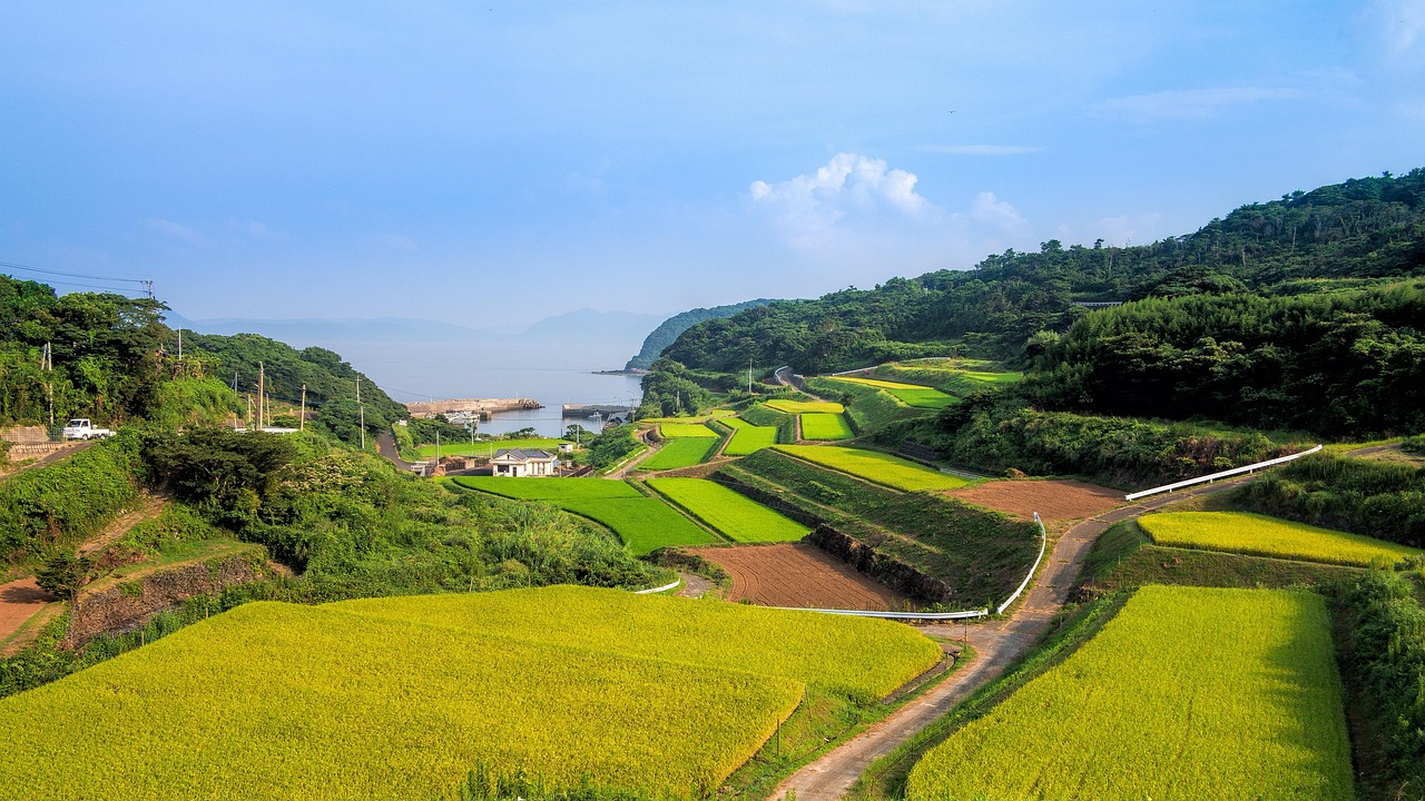 廣西靈山高速建設(shè)進展揭秘，最新消息與未來展望