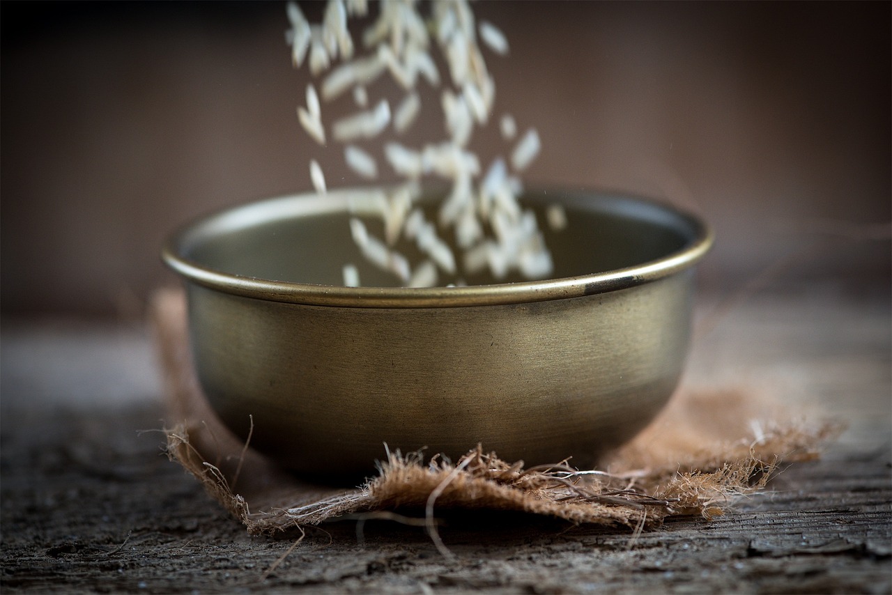 王樹(shù)勤在承德，最新發(fā)展動(dòng)態(tài)及消息解讀