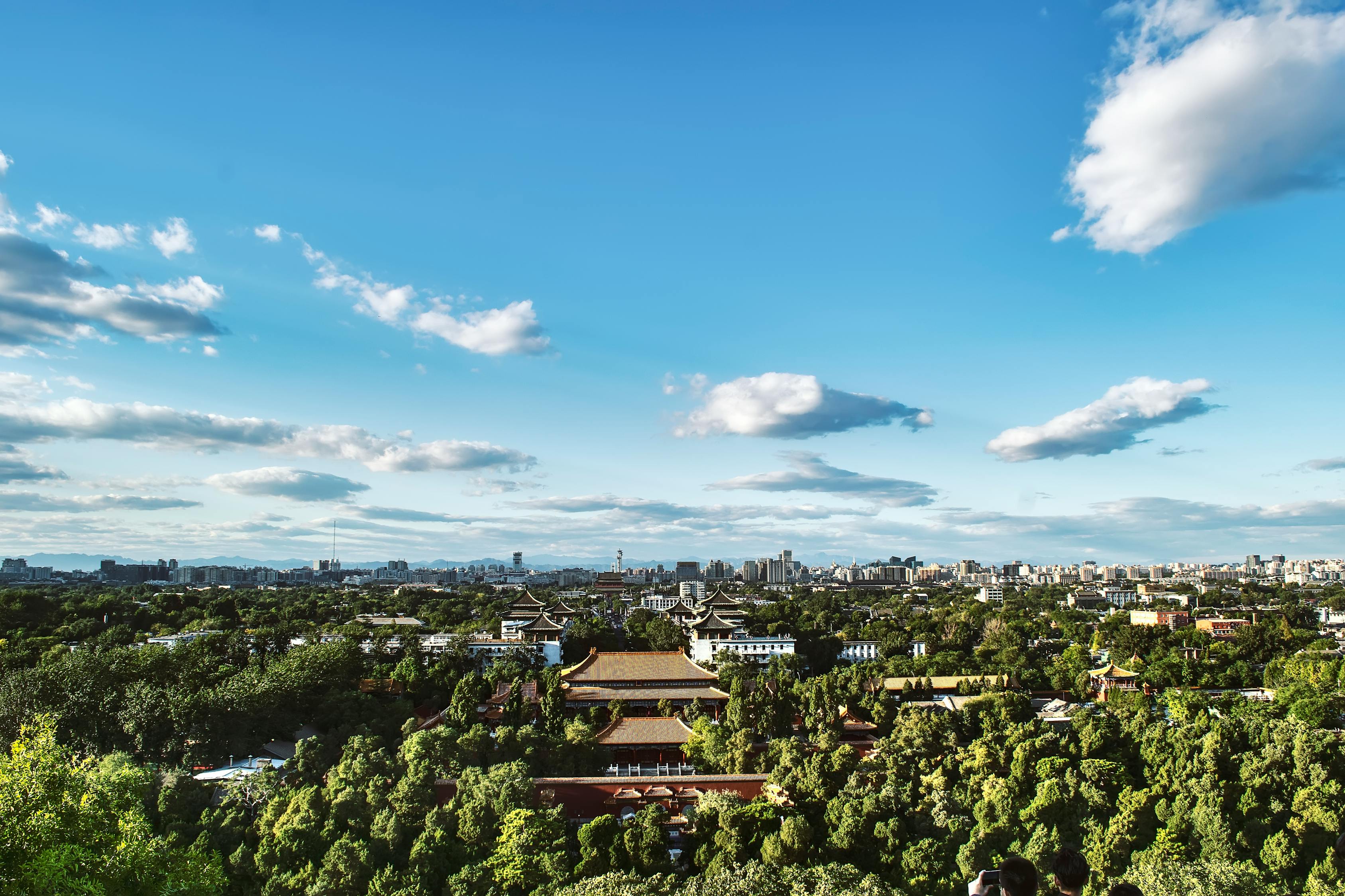 長沙洞井路最新動(dòng)態(tài)，城市發(fā)展與民生改善同步前行