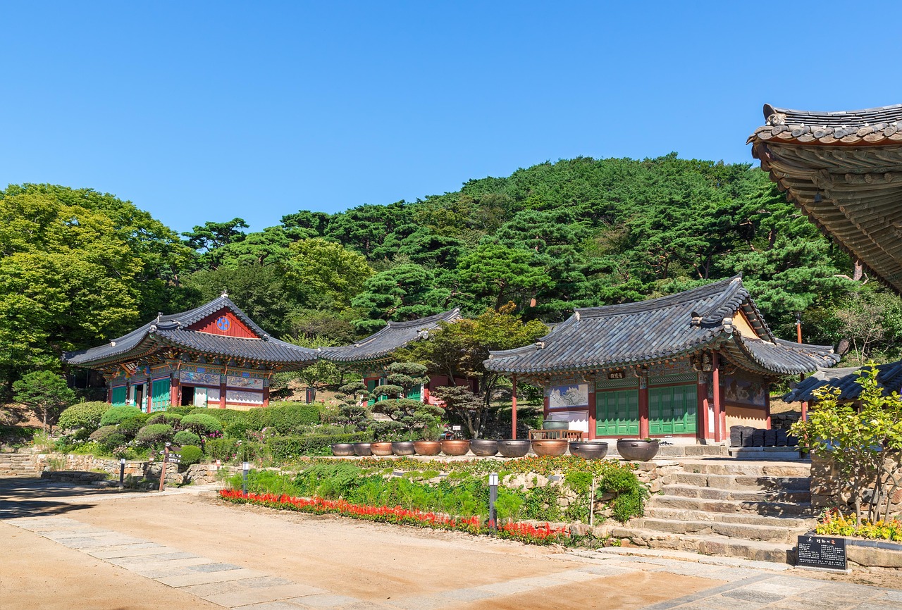 廣饒四季花城，繁榮盛景與未來期待揭秘