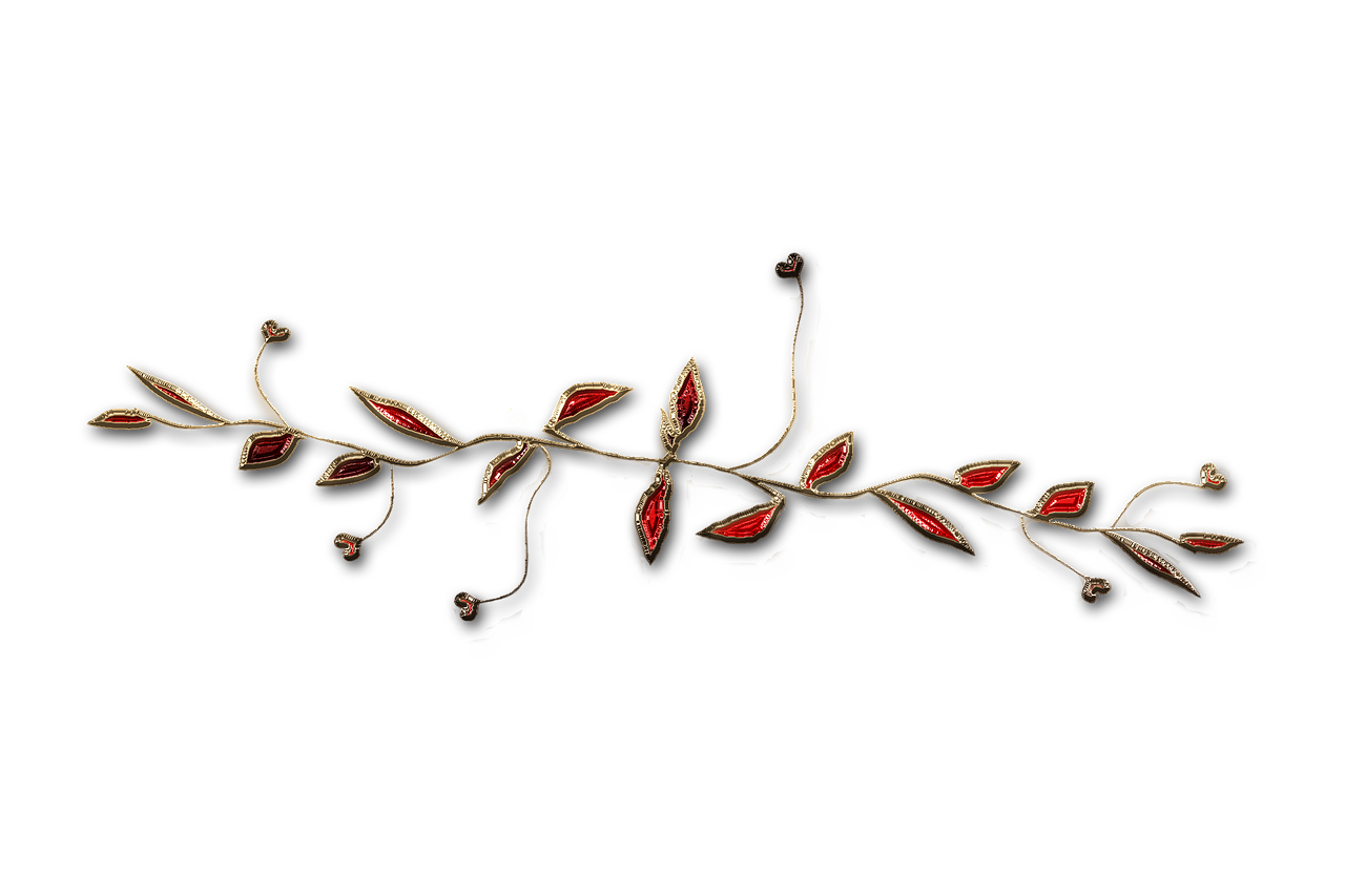 廣西大紅八角產(chǎn)業(yè)蓬勃發(fā)展，前景廣闊，最新消息與動(dòng)態(tài)
