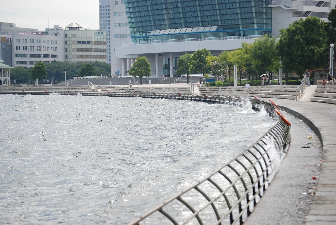 鄭州海昌海洋公園最新動(dòng)態(tài)揭秘，揭開神秘面紗，展現(xiàn)海洋魅力奇觀