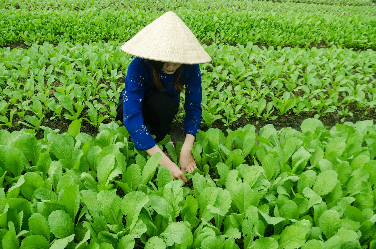 戶戶通四代機最新動態(tài)概覽