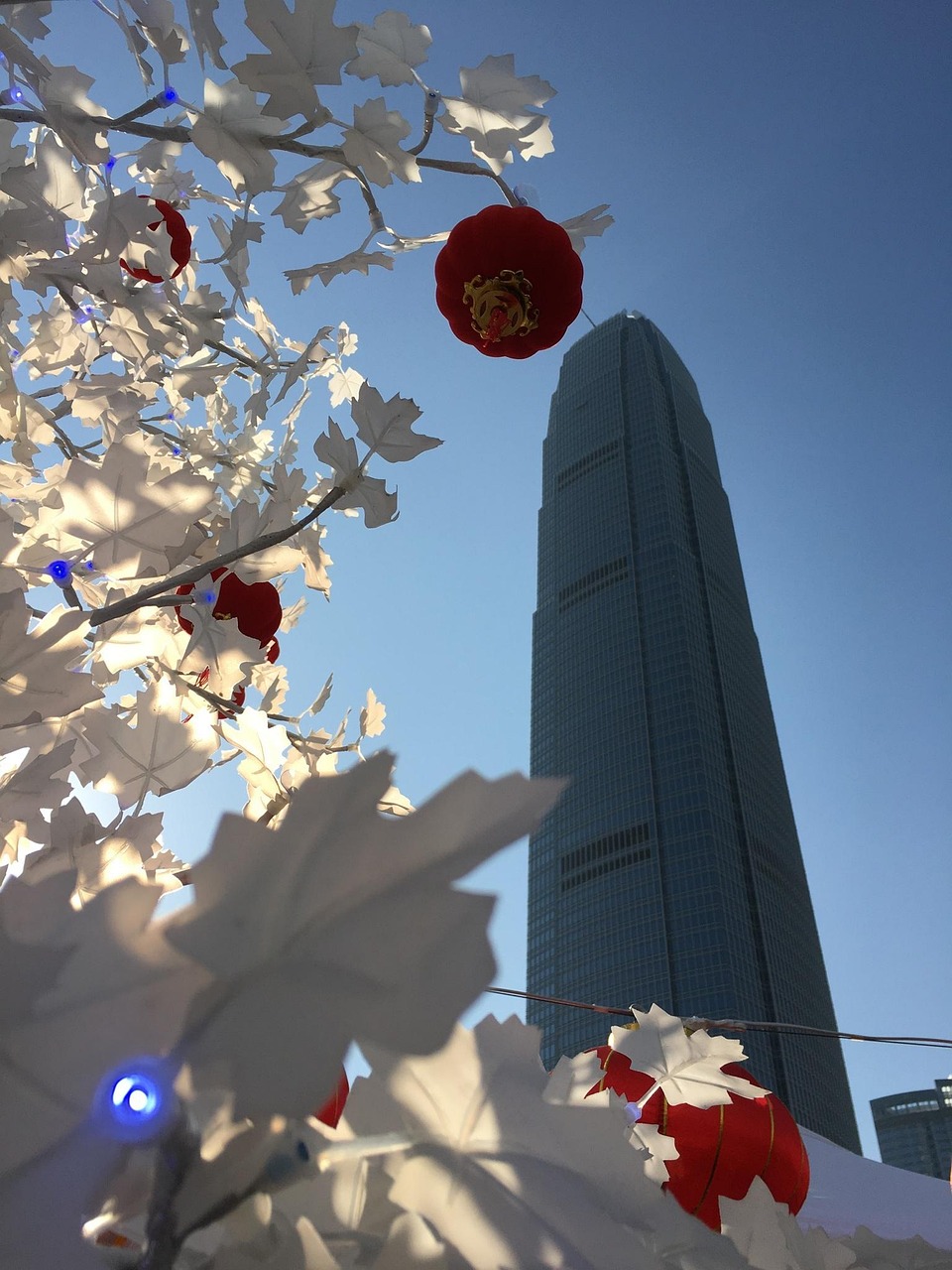 漫漫長(zhǎng)夜新版本砍樹(shù)探索，全新體驗(yàn)之旅