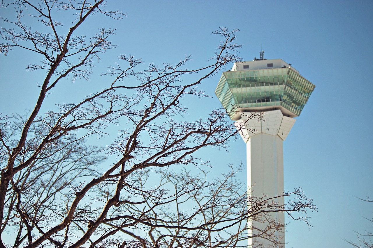 決斗之城最新動態(tài)，新時代卡牌競技盛宴揭秘